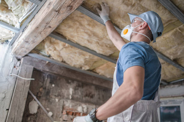 Best Insulation Installation Services in Nikiski, AK